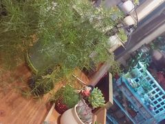 -Kitchen·Y洋厨房西餐厅(王府壹号店)