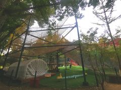 -回龙观体育文化公园