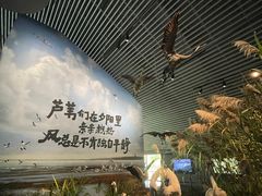-中国湿地博物馆