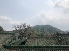 -鼎湖山风景区