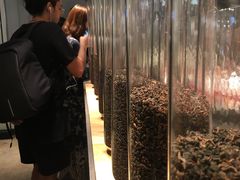 -喜茶(深圳福田星河COCO Park店)