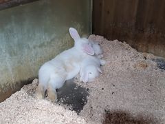 -上海大自然野生昆虫馆