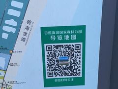 -日照海滨国家森林公园