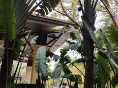 -西双版纳融创皇冠假日度假酒店