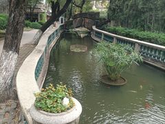 -碧江金楼