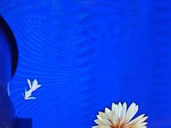 -尚荟汤泉生活馆