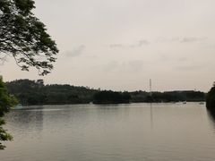 -广东花都湖国家湿地公园