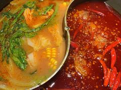 -川西坝子(苏州城市生活广场店)