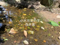 -北京西山国家森林公园