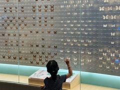 -陕西自然博物馆