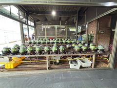 -红旗山庄(圭峰山店)