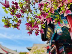 -天津大悲禅院