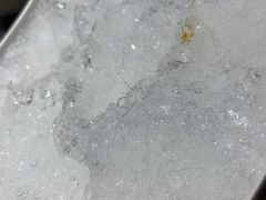 -天都火锅酒楼(虹梅南路店)