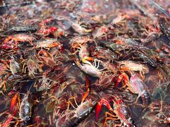 -胡家庙海鲜副食批发市场