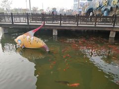 -华夏文旅海洋公园