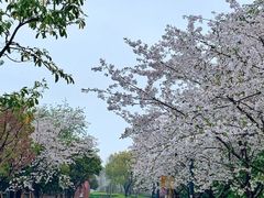 -浦江二号·独栋江景餐厅(滨江大道店)