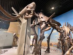 -国家自然博物馆