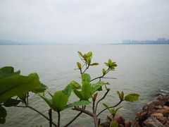-深圳湾公园(南山区)
