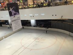 -TheRink大零溜冰场(IFS国金中心店)