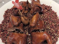 -朱记乳鸽王·非遗石岐乳鸽·全鸽宴(大兴旗舰店)