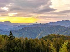 -江西阳明山国家森林公园