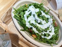 -油梨树AVOCADO TREE(嘉里中心店)