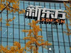 -新东方成人英语学习考试·口语·商务(延安路校区)