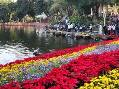 -荔湾湖公园