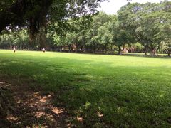 校园-中山大学学者灵芝(园南路店)