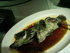 -秦唐食府(天桥店)