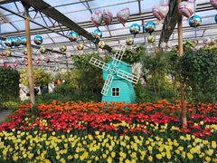 -南宫五洲植物乐园