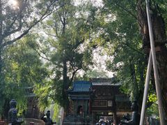-晋祠博物馆