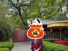-白家大院·王府宫廷菜(苏州街店)