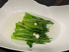 -临江·阅炉