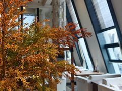 -瓦库茶馆17号(海汇港店)