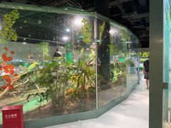 -上海大自然野生昆虫馆(东方明珠·爬宠昆虫探索中心)