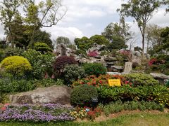 -东莞植物园