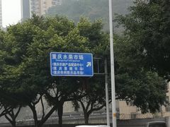 -菜园坝水果市场