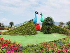-光明小镇欢乐田园