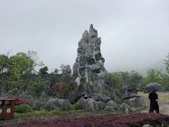-千岛湖石林