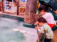 -正佳雨林生态植物园