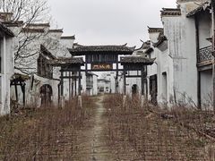 -上海鲜花港