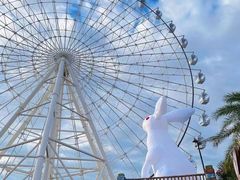 -横店影视城梦幻谷园区