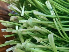 -陈五哥大排档(湘江世纪城店)