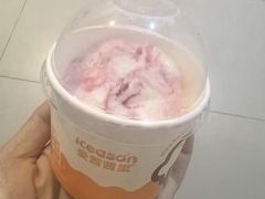 -iceason爱茜茜里·意大利健康冰淇淋(骑龙巷店)