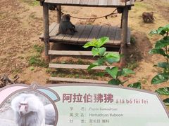 -大连森林动物园