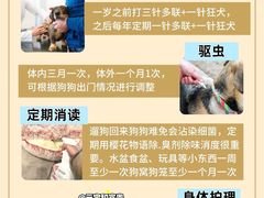 -翊宠yipet猫狗购宠庄园犬舍•猫舍