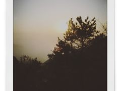 -赵记煎饼卷大葱(东岳店)