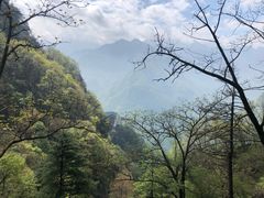 -陕西省红河谷森林公园