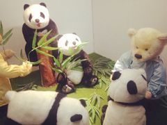 iphone_upload_pic-成都泰迪熊博物馆